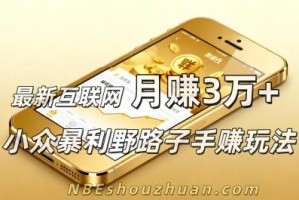最新互联网月赚3万+的小众暴利野路子手赚玩法