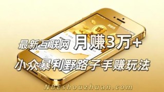 最新互联网月赚3万+的小众暴利野路子手赚玩法