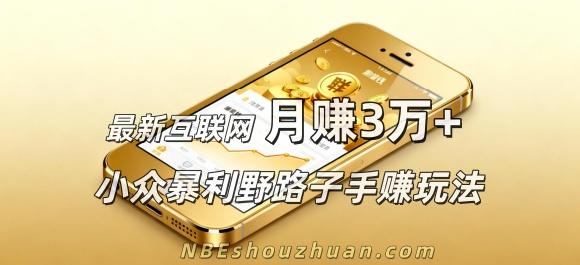 最新互联网月赚3万+的小众暴利野路子手赚玩法封面图